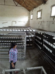 武汉安德装饰材料厂携手阿土伯网，开启建筑装饰材料热卖促销盛宴